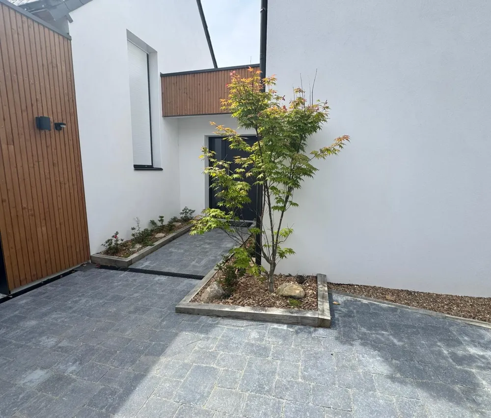 Courtyard with a paved patio, a young tree in a wooden planter, and a white wall with a black door