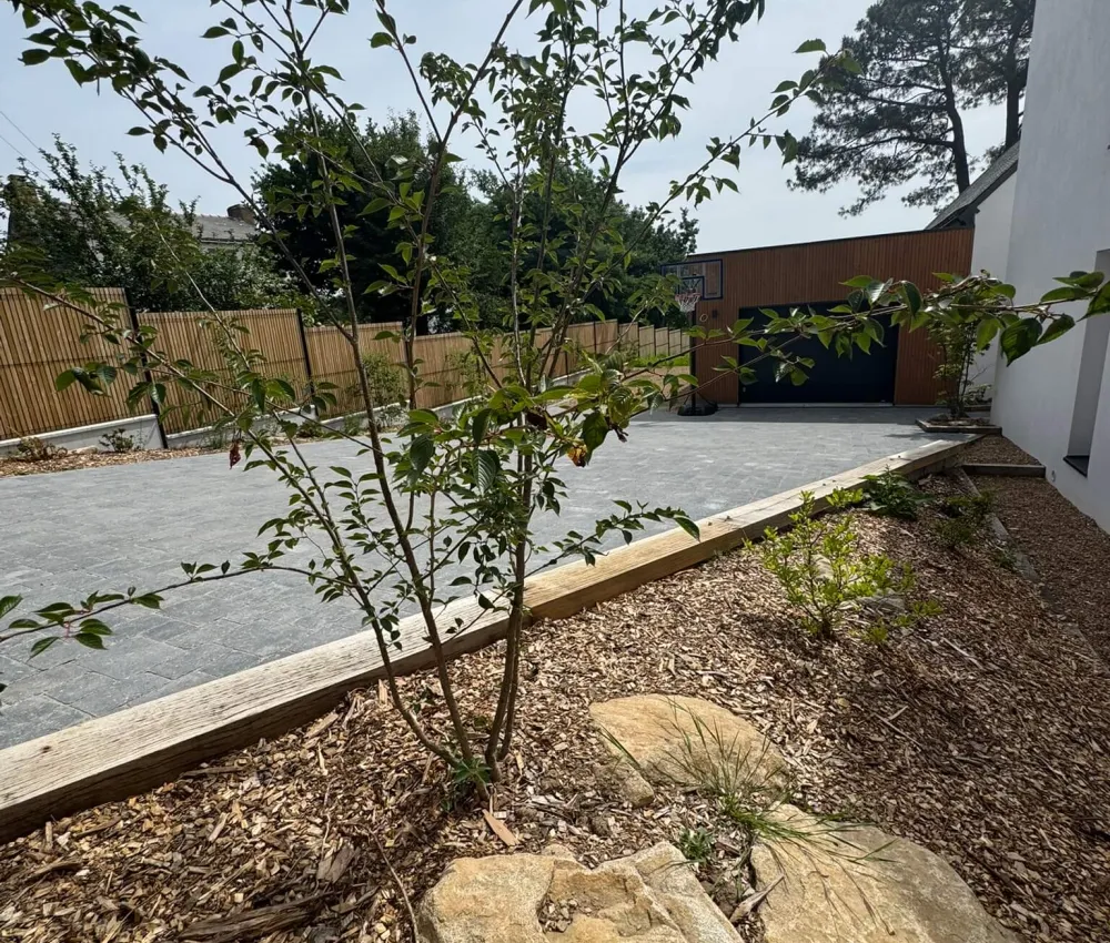 paysage de jardin avec jeune arbre et pierre