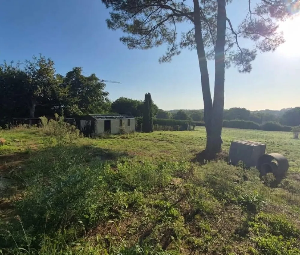 terrain avec une maison en cours de construction et des arbres