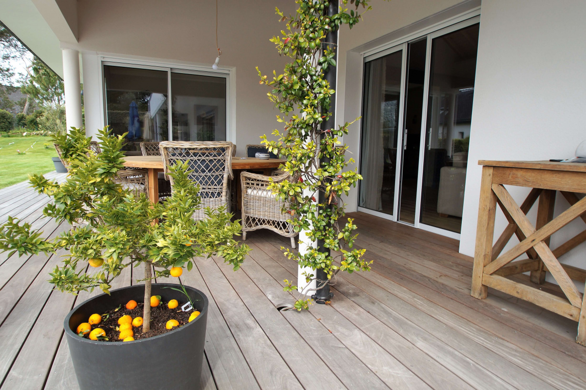 terrasse en bois