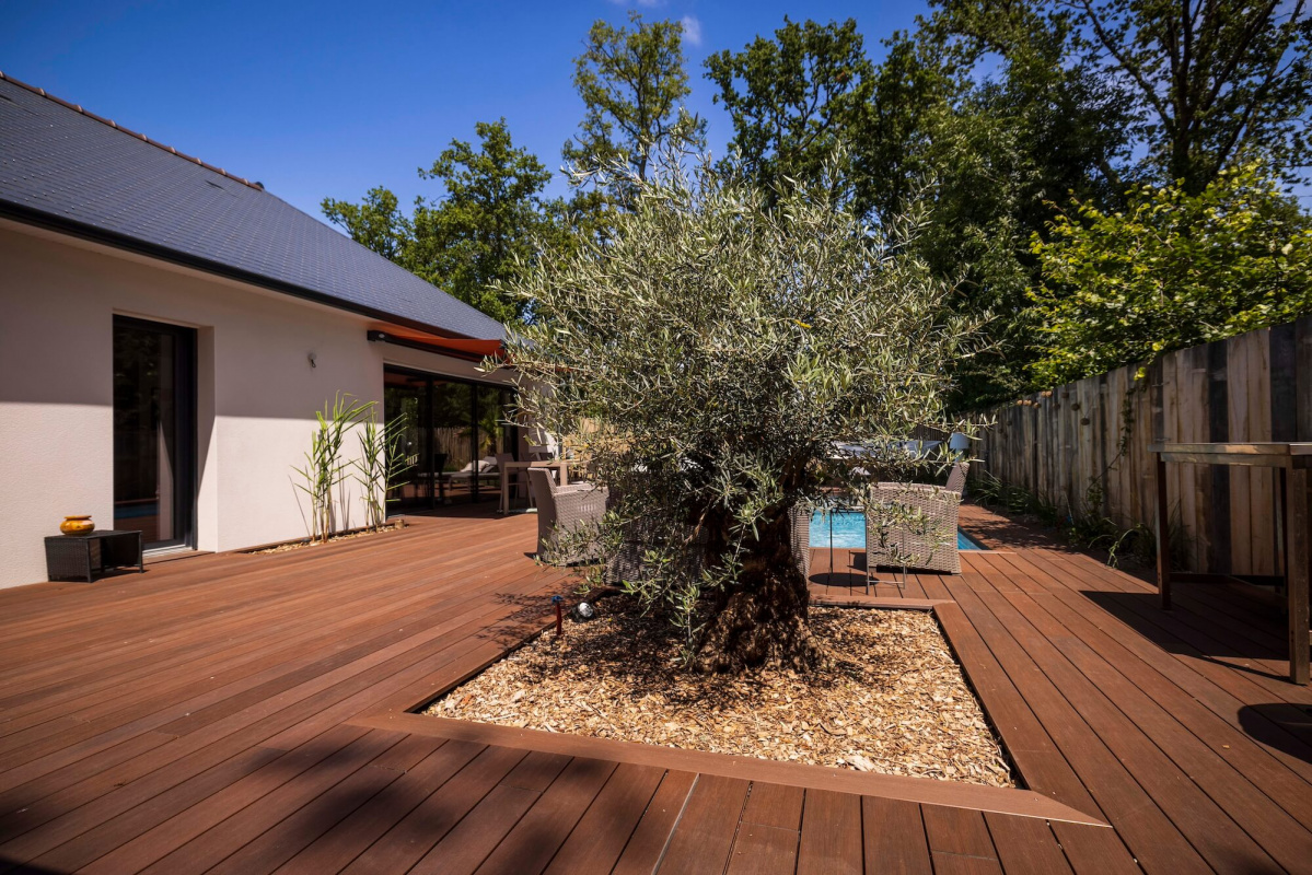 Olivier au centre d'une terrasse bois