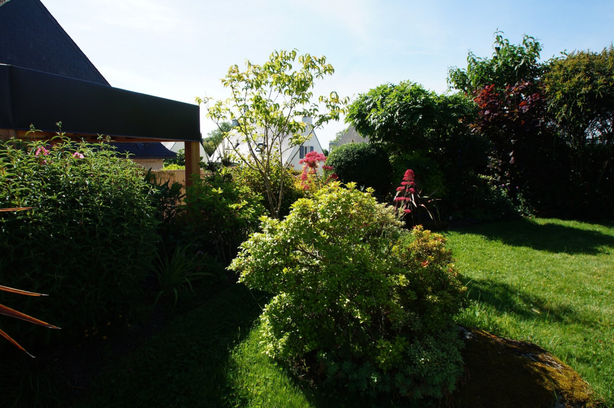 DSC03118