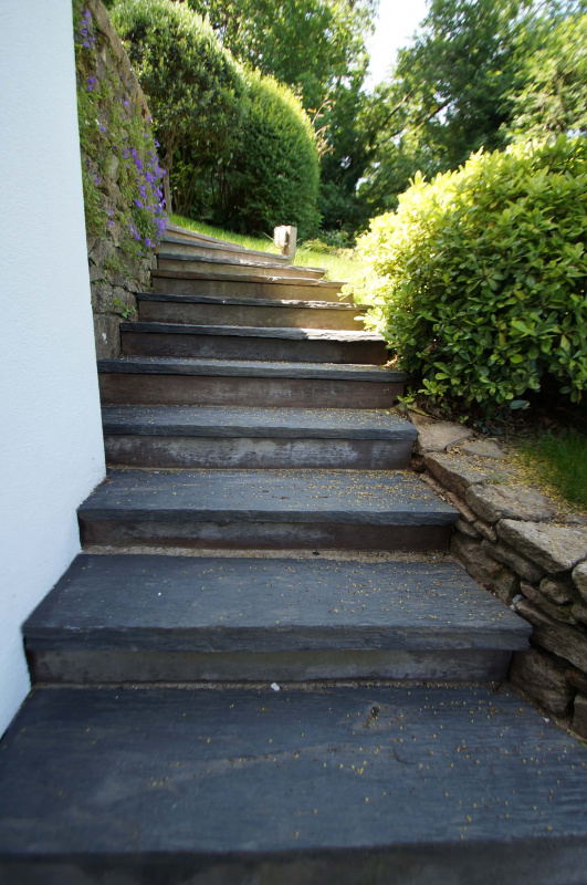DSC03300